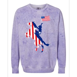 Horse American Flag Usa 4th Of July Funny Horse Lovers Gift Colorblast Crewneck Sweatshirt