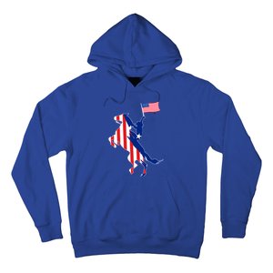 Horse American Flag Usa 4th Of July Funny Horse Lovers Gift Hoodie