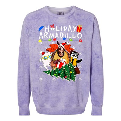 Holiday Armadillo Funny Matching Team Matching Group Colorblast Crewneck Sweatshirt