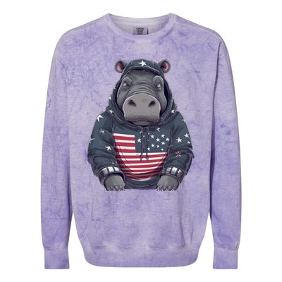 Hippopotamus American Flag USA Tee 4th July Gifts Graphic Colorblast Crewneck Sweatshirt