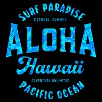 Hawaii Aloha Hawaiian Retro Throwback Souvenir Zip Tote Bag