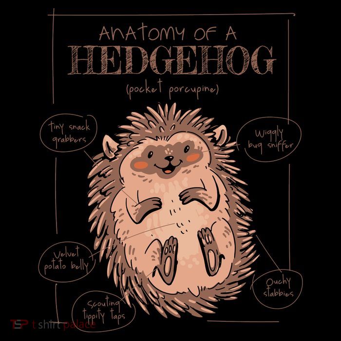 Hedgehog Anatomy High Crown Mesh Back Trucker Hat