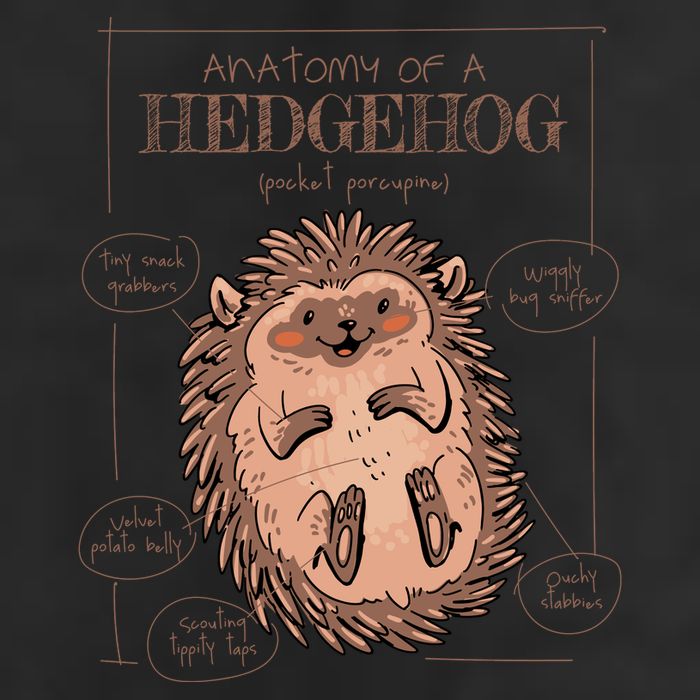 Hedgehog Anatomy Adult Drive Performance Visor