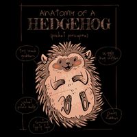 Hedgehog Anatomy Bucket Hat