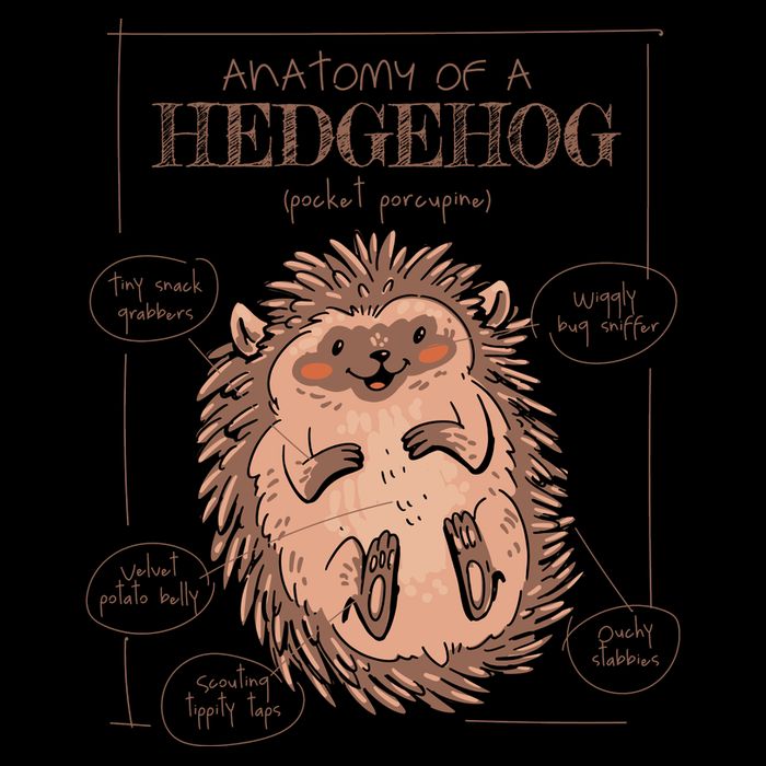 Hedgehog Anatomy Bucket Hat