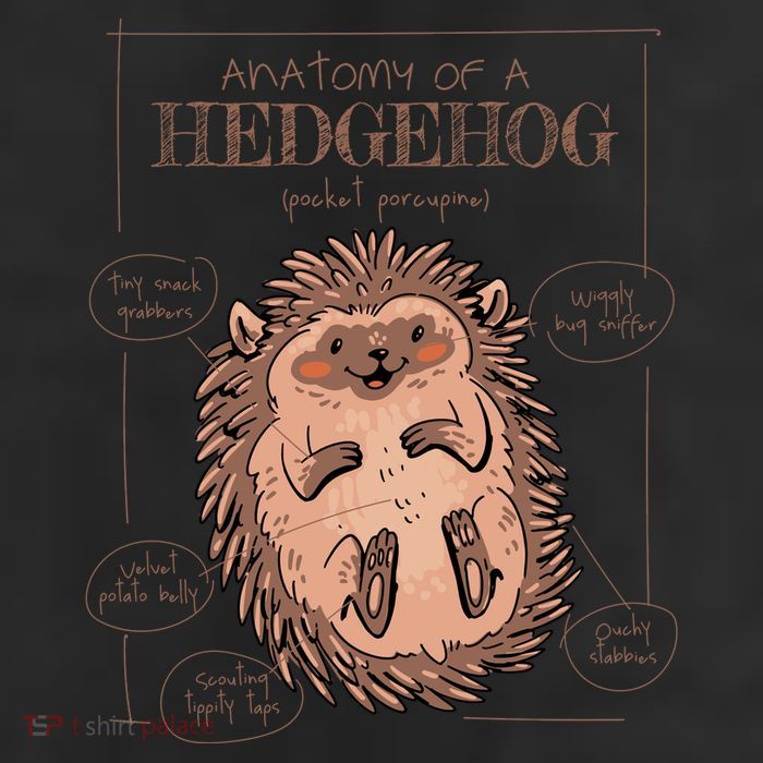 Hedgehog Anatomy 11oz C Handle Ceramic Mug