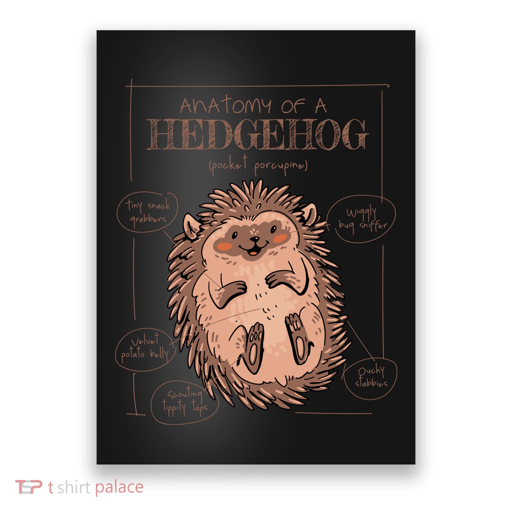 Hedgehog Anatomy Poster