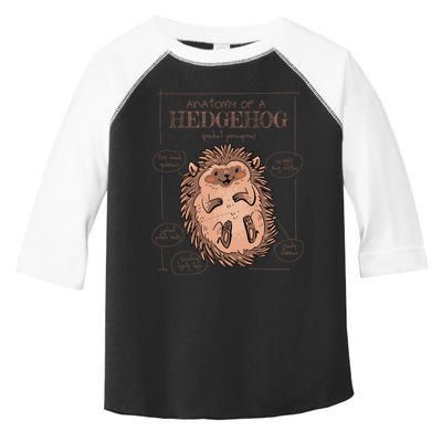 Hedgehog Anatomy Toddler Fine Jersey T-Shirt