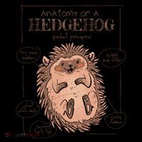 Hedgehog Anatomy Wool Snapback Cap