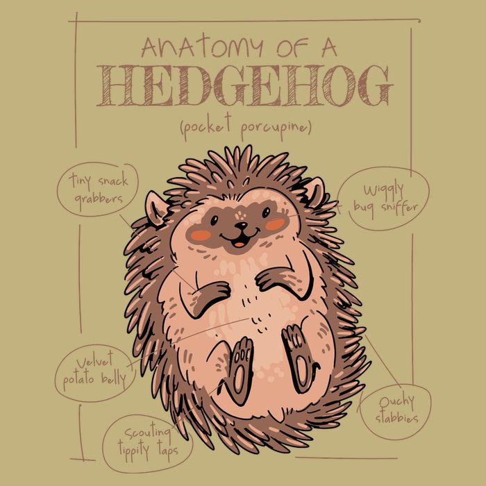 Hedgehog Anatomy Cooling Performance Crew T-Shirt