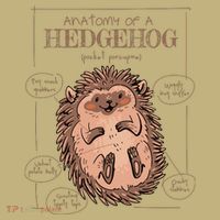 Hedgehog Anatomy Button