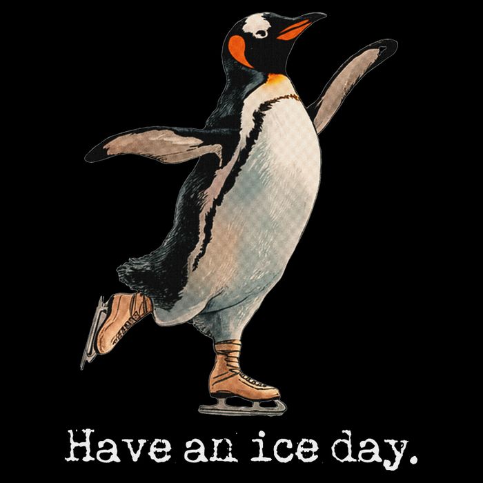 Have An Ice Day Girl Ice Skating Outfit Funny Figure Skating Button