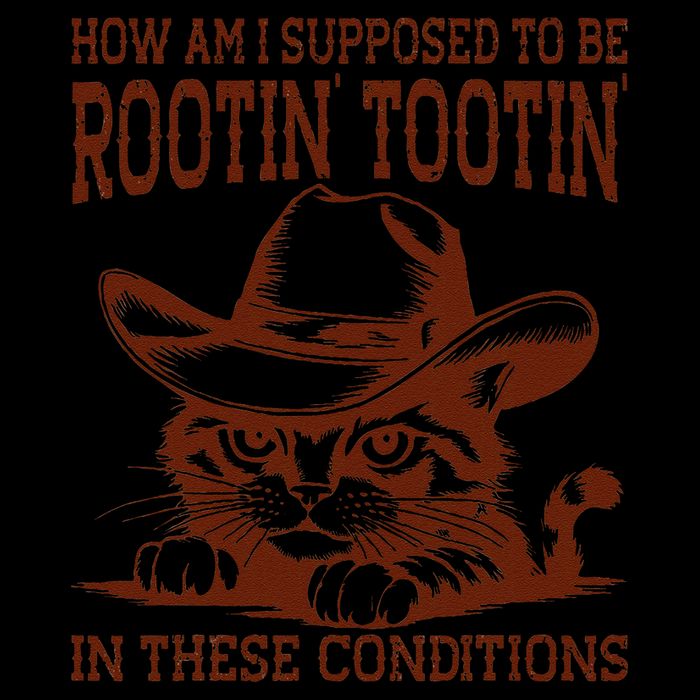 How Am I Supposed To Be Rootin Tootin Funny Cat Cowboy Pom Pom 12in Knit Beanie