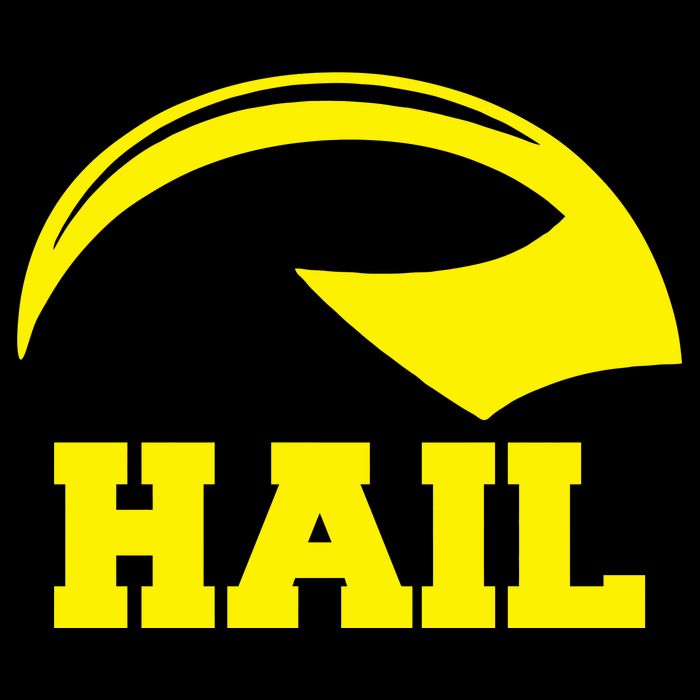 Hail Michigan Helmet Football Victors City Backpack