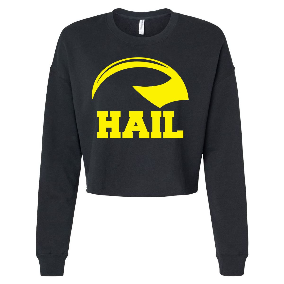 Hail Michigan Helmet Football Victors Cropped Pullover Crew
