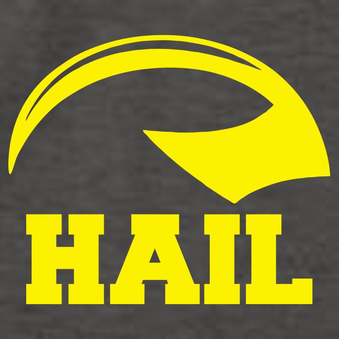 Hail Michigan Helmet Football Victors Vector Backpack