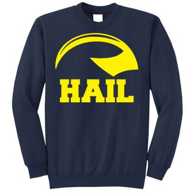 Hail Michigan Helmet Football Victors Sweatshirt