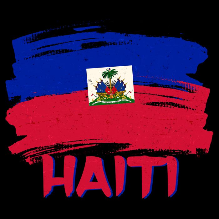 Haiti Distressed Painted Flag 7-Panel Snapback Hat