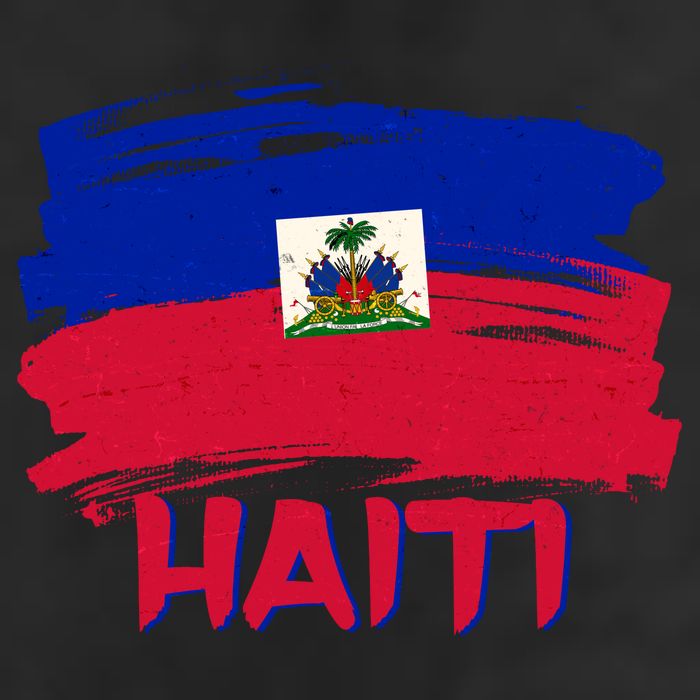Haiti Distressed Painted Flag Tumbler