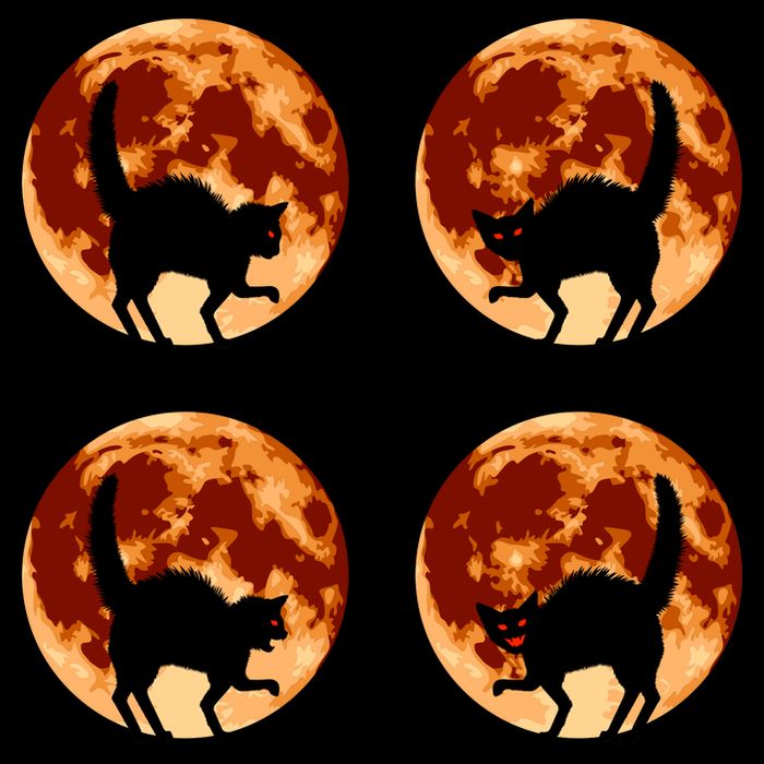 Halloween Cat with Full Moon Phases Women's Crop Top Tee
