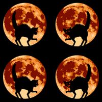 Halloween Cat with Full Moon Phases Cropped Pullover Crew