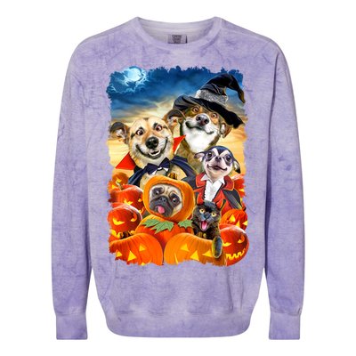 Halloween Dogs and Cats Selfie 2 Colorblast Crewneck Sweatshirt