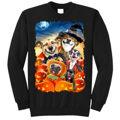 Halloween Dogs and Cats Selfie 2 Sweatshirt