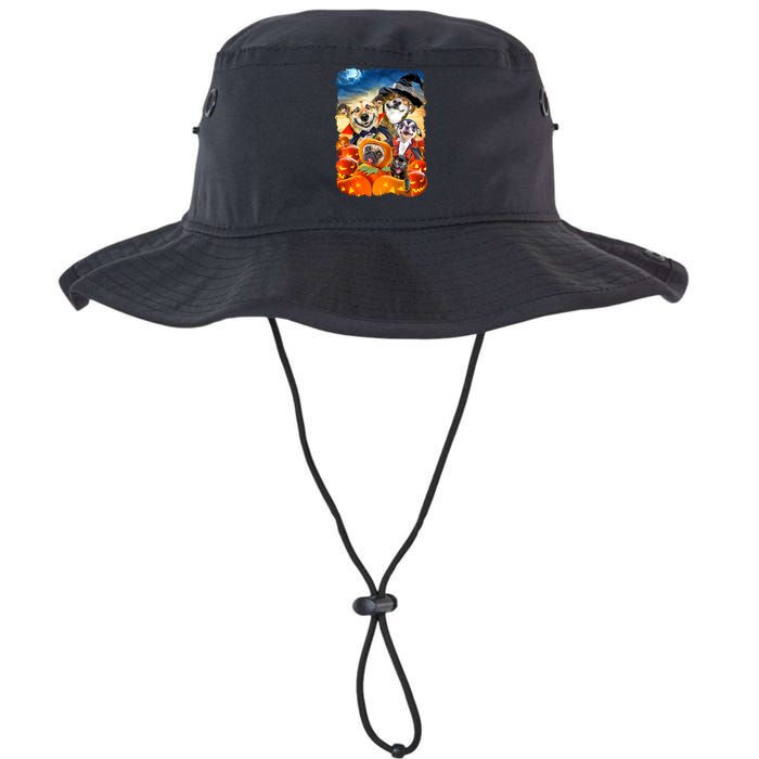 Halloween Dogs and Cats Selfie 2 Legacy Cool Fit Booney Bucket Hat