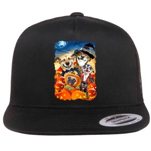 Halloween Dogs and Cats Selfie 2 Flat Bill Trucker Hat