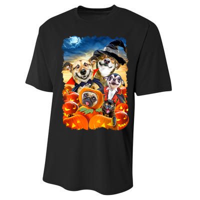 Halloween Dogs and Cats Selfie 2 Performance Sprint T-Shirt