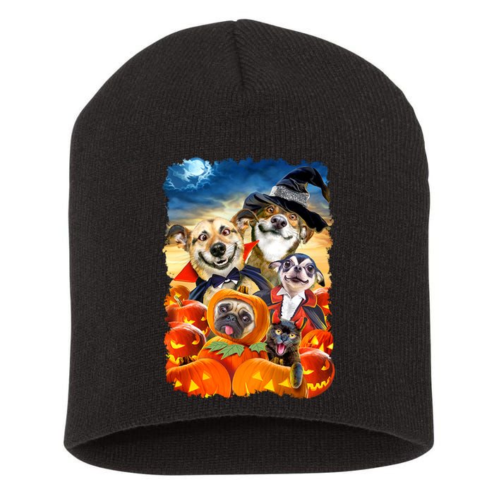 Halloween Dogs and Cats Selfie 2 Short Acrylic Beanie