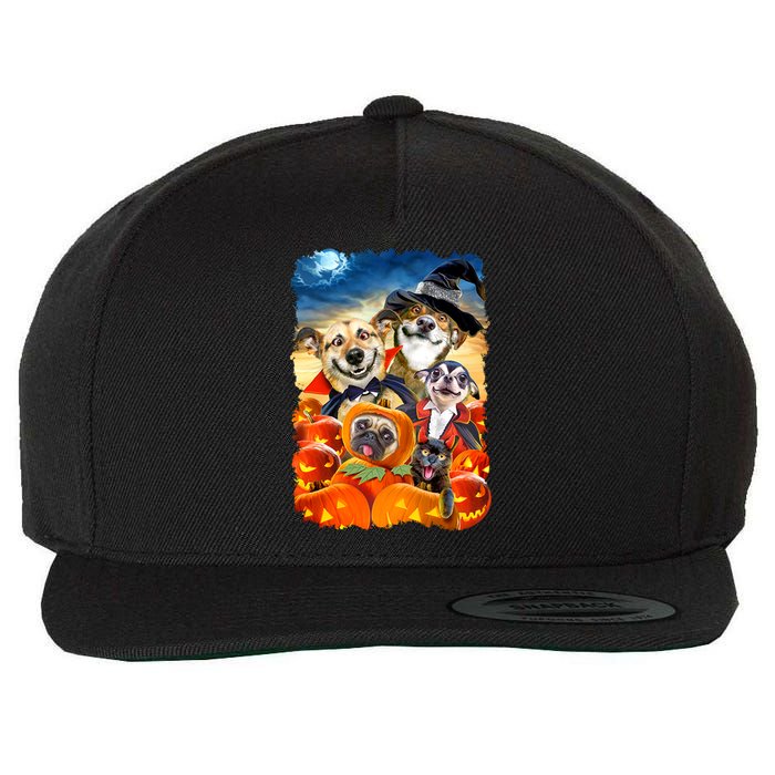 Halloween Dogs and Cats Selfie 2 Wool Snapback Cap