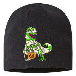 Halloween Pumpkin Dinosaur Sustainable Beanie