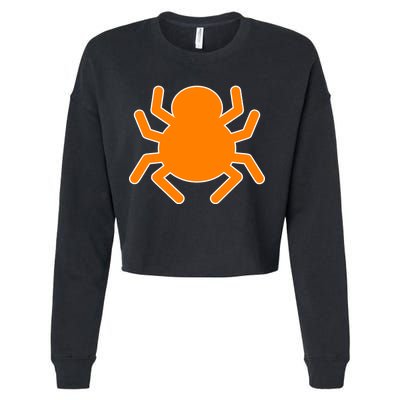 Halloween Spider Cropped Pullover Crew