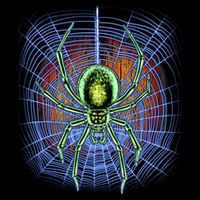 Halloween Spiderweb Creepy Spider Performance Shirt