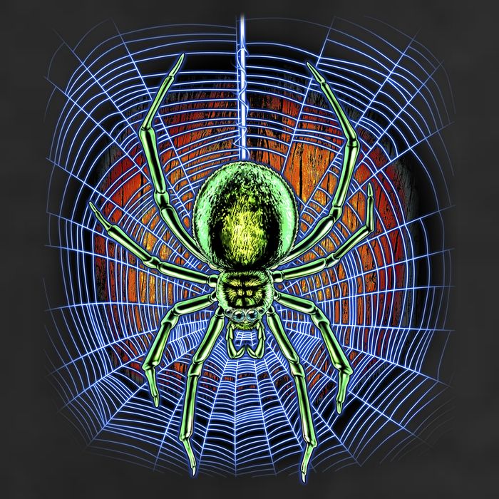 Halloween Spiderweb Creepy Spider 15oz Campfire Ceramic Mug