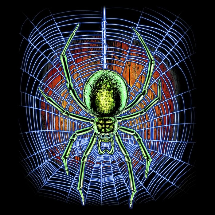 Halloween Spiderweb Creepy Spider Flatbill Hat