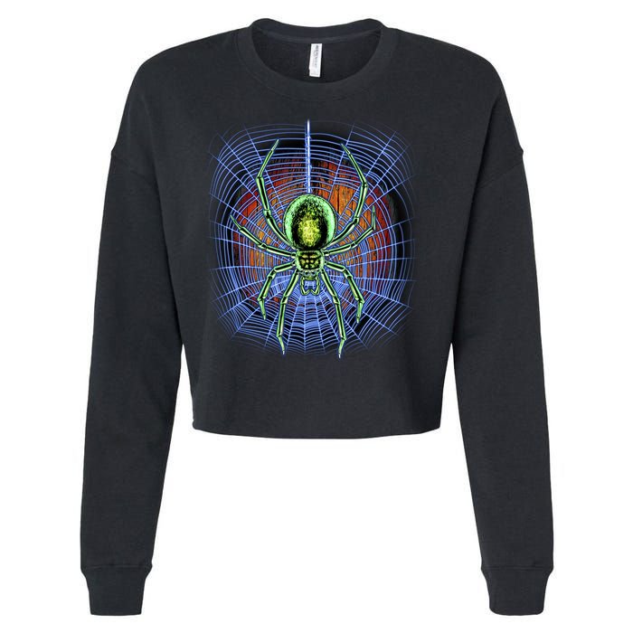 Halloween Spiderweb Creepy Spider Cropped Pullover Crew