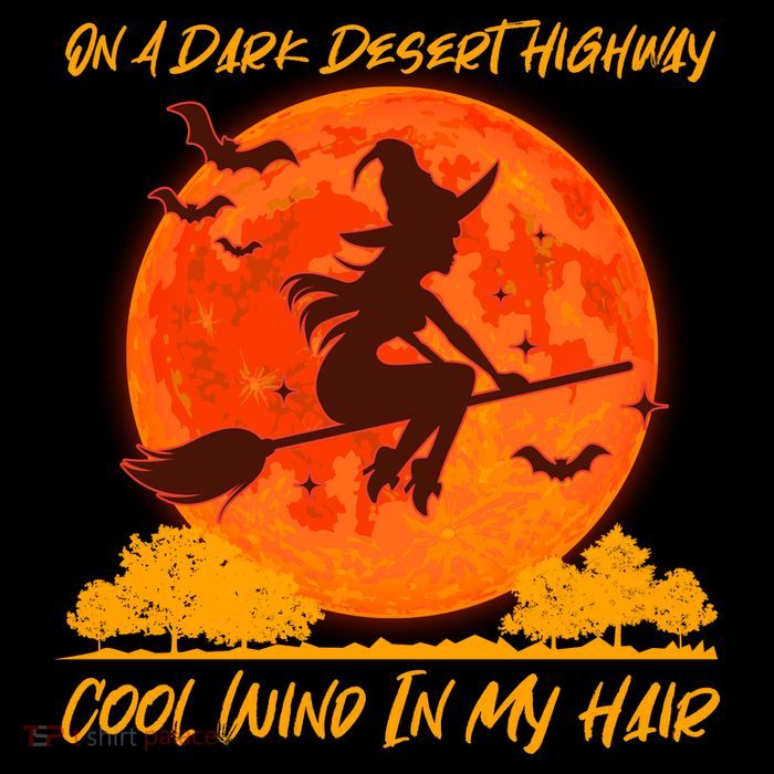 Halloween Witch On A Dark Desert Highway Poster