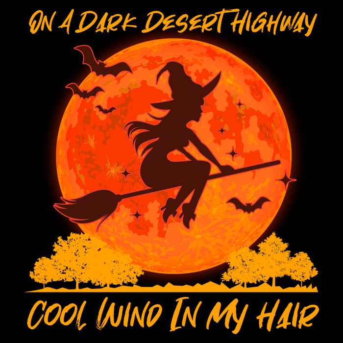 Halloween Witch On A Dark Desert Highway Toddler T-Shirt