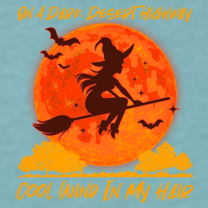 Halloween Witch On A Dark Desert Highway Sueded Cloud Jersey T-Shirt