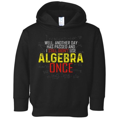Hate Algebra Math Humor Funny Math Class Student Outfit Toddler Hoodie
