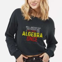 Hate Algebra Math Humor Funny Math Class Student Outfit Cropped Pullover Crew