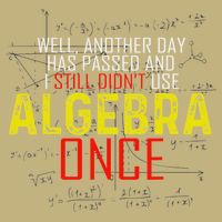 Hate Algebra Math Humor Funny Math Class Student Outfit T-Shirt