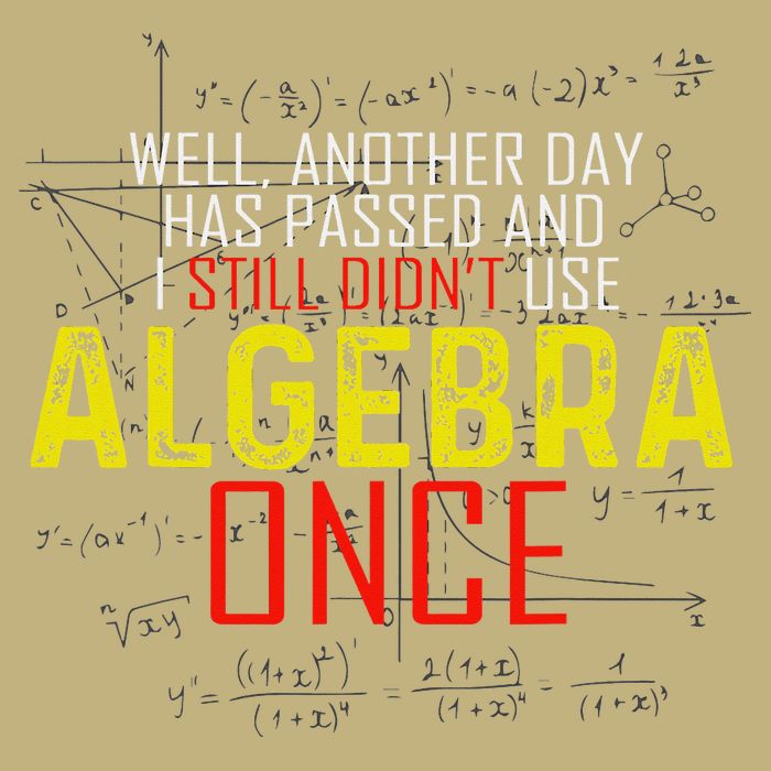 Hate Algebra Math Humor Funny Math Class Student Outfit T-Shirt