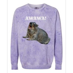 Hyrax Awawa Meme Colorblast Crewneck Sweatshirt