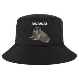 Hyrax Awawa Meme Cool Comfort Performance Bucket Hat