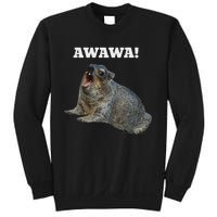 Hyrax Awawa Meme Sweatshirt