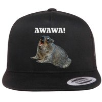 Hyrax Awawa Meme Flat Bill Trucker Hat