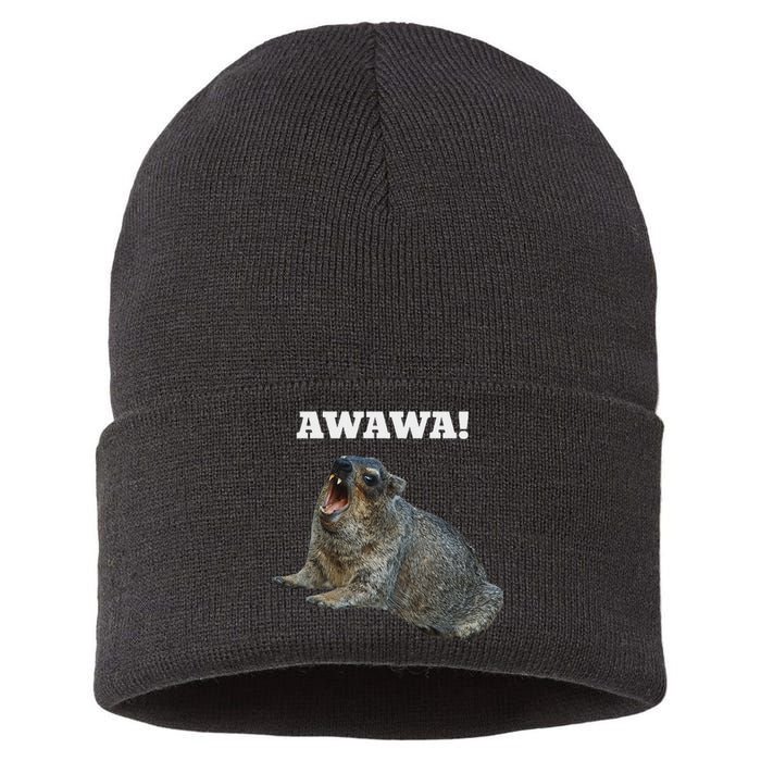 Hyrax Awawa Meme Sustainable Knit Beanie